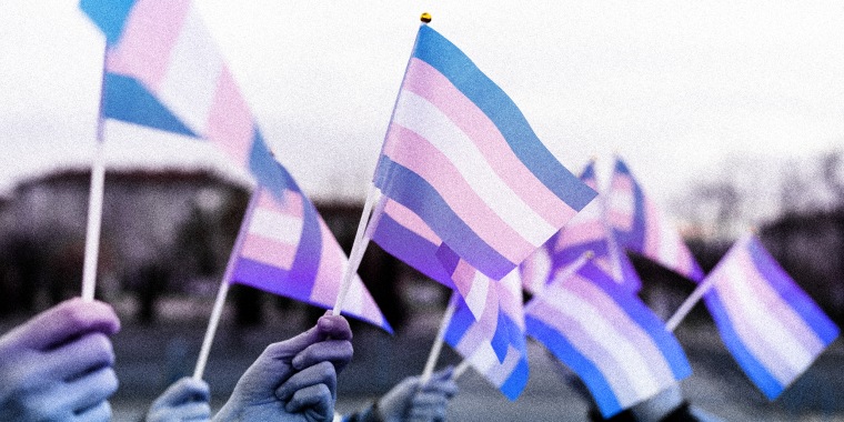 Image: Multiple hands waving transgender pride flags.