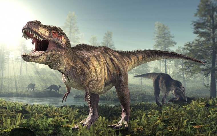 Image: Tyrannosaurus rex dinosaur