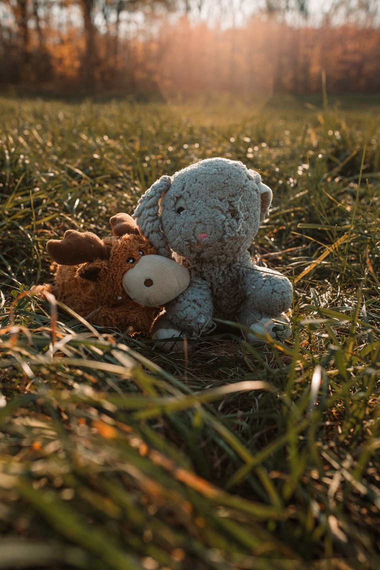 These stuffed animals belong to Cudi, a dog with cancer photographed by Earhart.