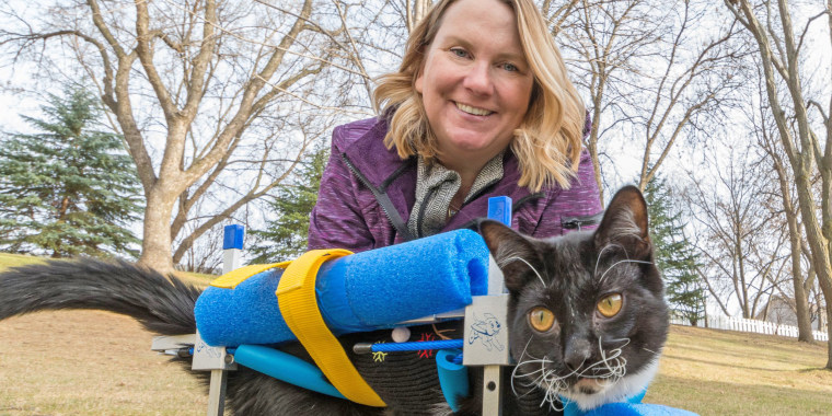 ADVOCAT' HELPS CATS WITH DISABILITIES