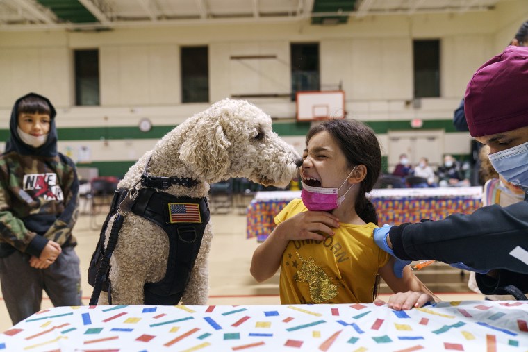 Leanna Arcila, 7, is licked by Watson, a therapy dog with the Pawtucket police department, as she receives her COVID-19 vaccination from Dr. Eugenio Fernandez at Nathanael Greene Elementary School in Pawtucket, R.I., Tuesday, Dec. 7, 2021.