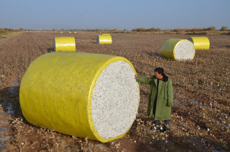Image: Cotton is harvested with a cotton stripper in a field in Alaer, Xinjiang Uygur Autonomous Region of China.