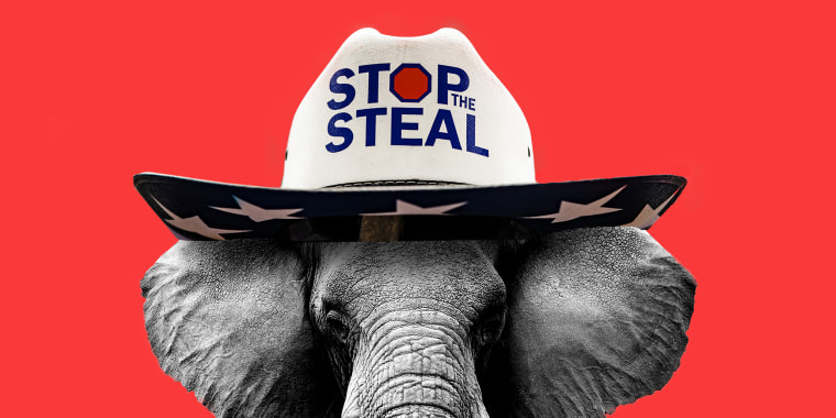 Photo illustration: A elephant wearing a hat that reads,\"Stop the Steal\".