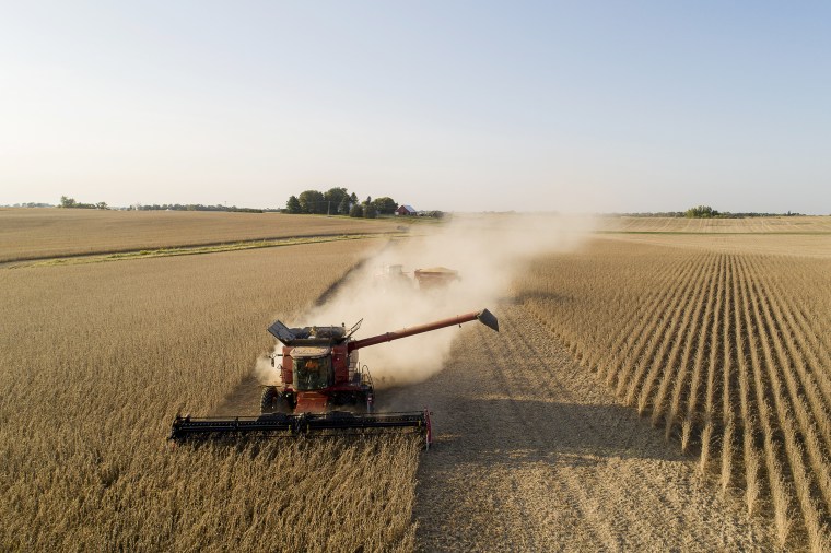 Image: Soybeans are harvested in Wyanet, Ill., on Sept. 25, 2020.