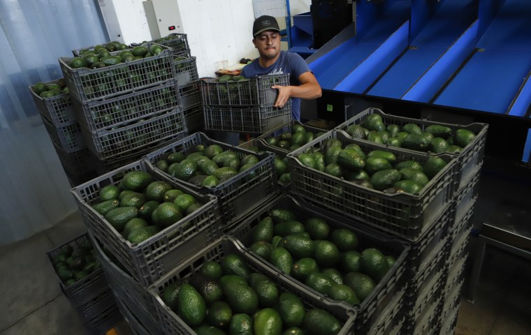 A worker stacks crates of avocados at a packing plant in Uruapan, Mexico