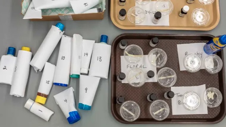 CR's panel of sensory testers evaluate sunscreens for scent and feel.