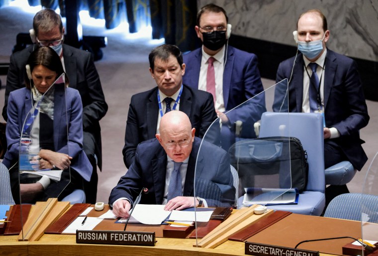 Image: United Nations Security Council meeting, in New York City