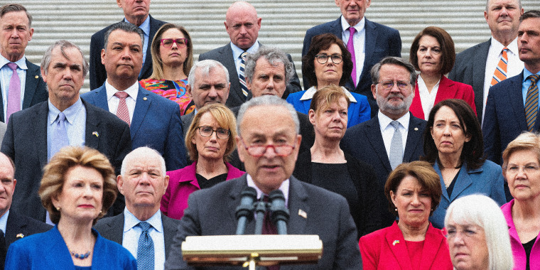 Image: Chuck Schumer, joined by the Senate democrats, addresses the media on the steps of the U.S. Capitol.