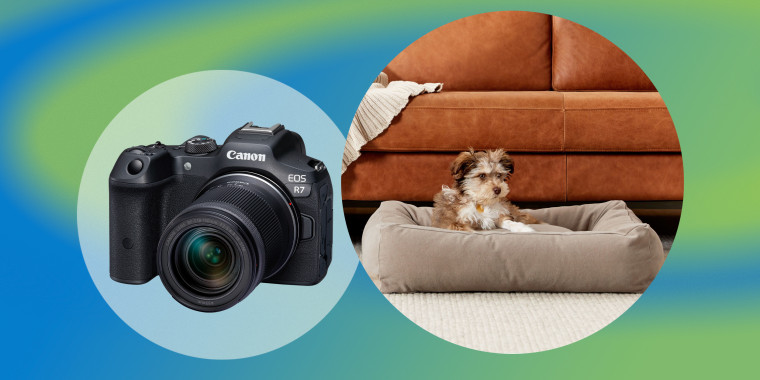 New releases include mirrorless cameras from Canon and a dog bed from Parachute. Panasonic released its first Alexa-enabled microwave and Reebok also launched an adaptive footwear collection.