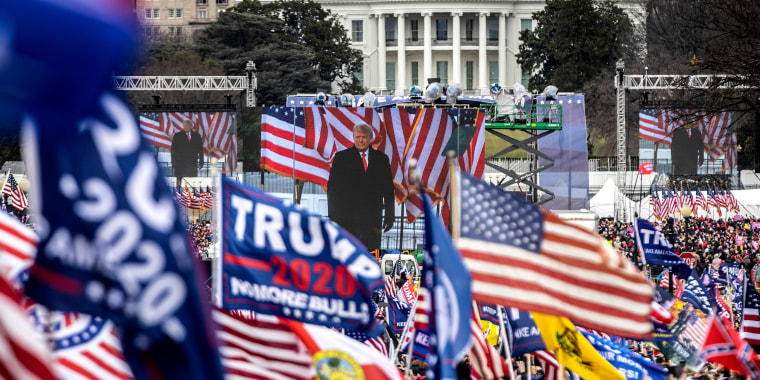 Image: Audience at the crowd waving flags while  Donald Trump is on stage.