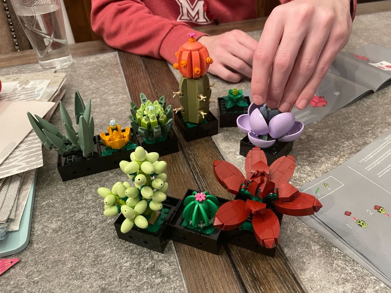 Writing intern Zoe Malin found the Lego Succulents Plant Decor building kit to be a great craft activity.