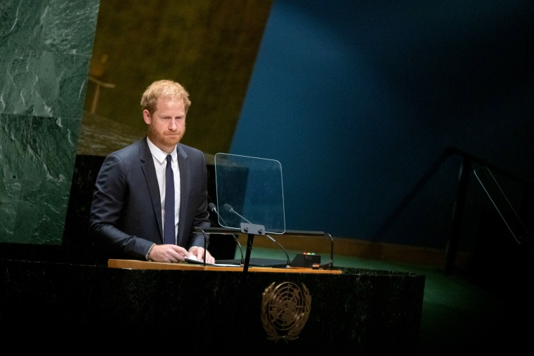 Image: Prince Harry speaks at the United Nations General Assembly in New York on July 18, 2022.