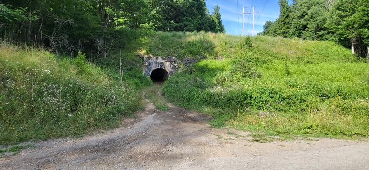 The tunnel underneath the railroad trestle.