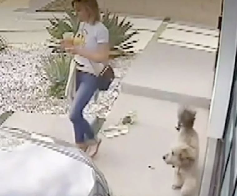 Security footage shows Heidi Planck leaving her home with her dog prior to arriving at her son's football game.