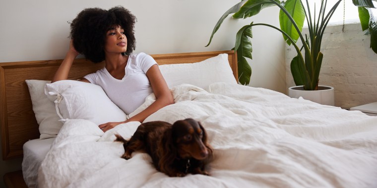 Young woman and her dog relaxing in bed in the morning