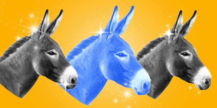 Photo illustration: Three donkey heads looking ahead with sparkle dust around them.