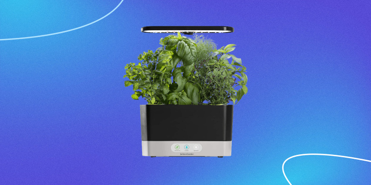 For those looking to grow plants all year round, the AeroGarden Harvest 360 is on sale on Amazon at its lowest price in months.