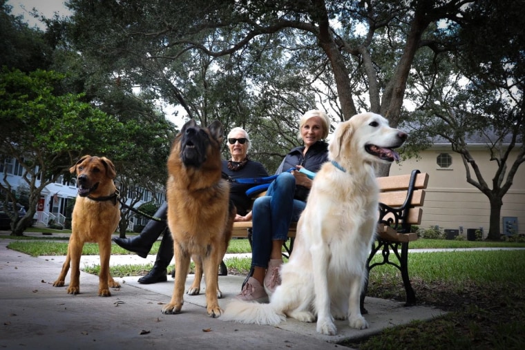 Mika Brzezinski with her mom, Emilie, and their family dogs Scout, Cajun and Daisy.
