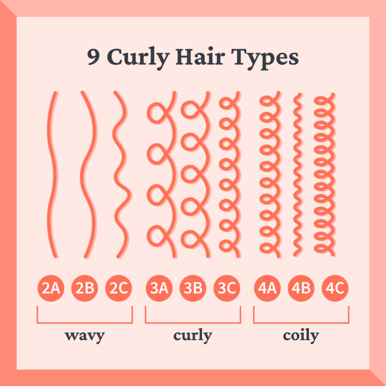 The nine types of curly hair.