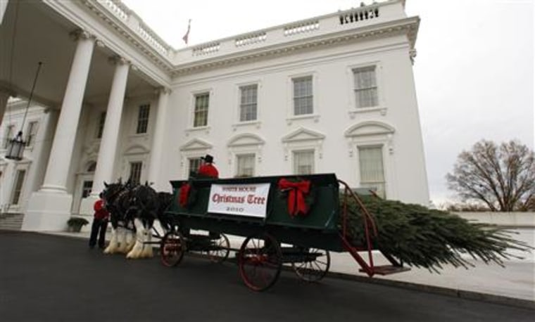 The 2010 White House Christmas Tree arrives at the White House in Washington