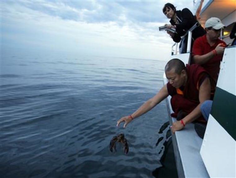 Buddhist monk Tenley releases a lobster back into the ocean during \"Chokhor Duchen\" from a boat in the waters off Gloucester