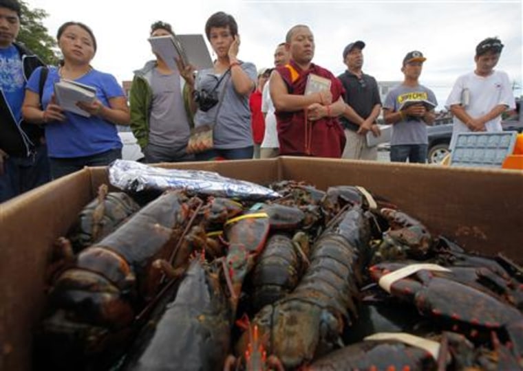 Buddhists pray before releasing lobsters back into the ocean during \"Chokhor Duchen\" in Gloucester