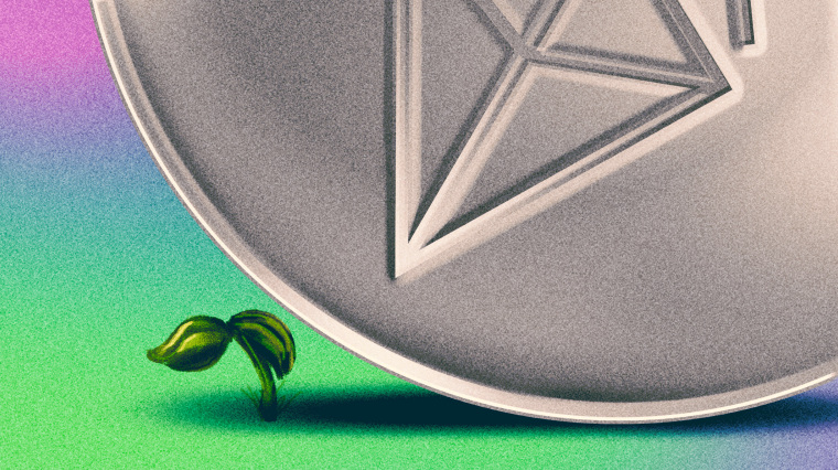 Image: Illustration of a small green sprout sits in the shadow of a giant NFT token.
