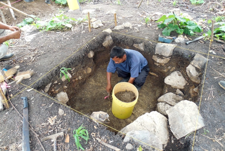Image: A member of the local community working with a team of archaeologists digs during excavations in Belize
