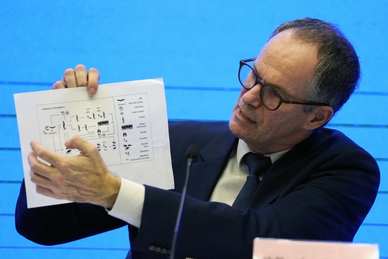 Peter Ben Embarek of the World Health Organization team holds up a chart showing pathways of transmission of the coronavirus during a news conference at the end of the WHO mission in Wuhan in central China's Hubei province on Feb. 9.
