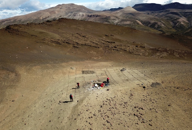 Image: Paleontologists at work in the Valley of Las Chinas, in the Chilean Patagonia