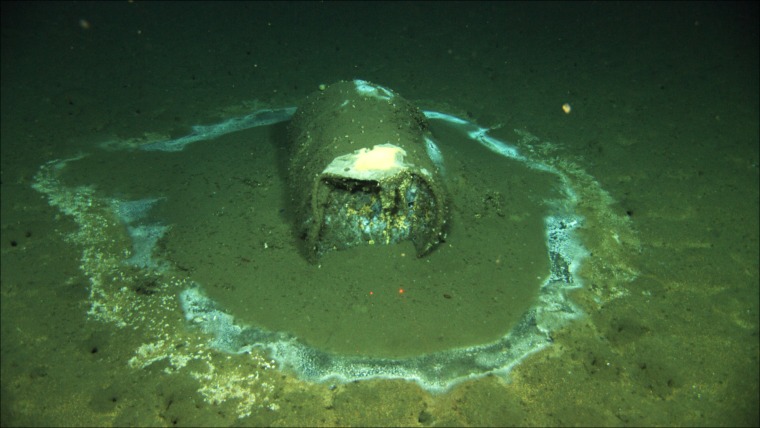 A barrel sits on the seafloor near the coast of Catalina Island, Calif., in 2011. Marine scientists say they have found what they believe to be as many as 25,000 barrels that possibly contain DDT dumped off the Southern California coast near Catalina Island.