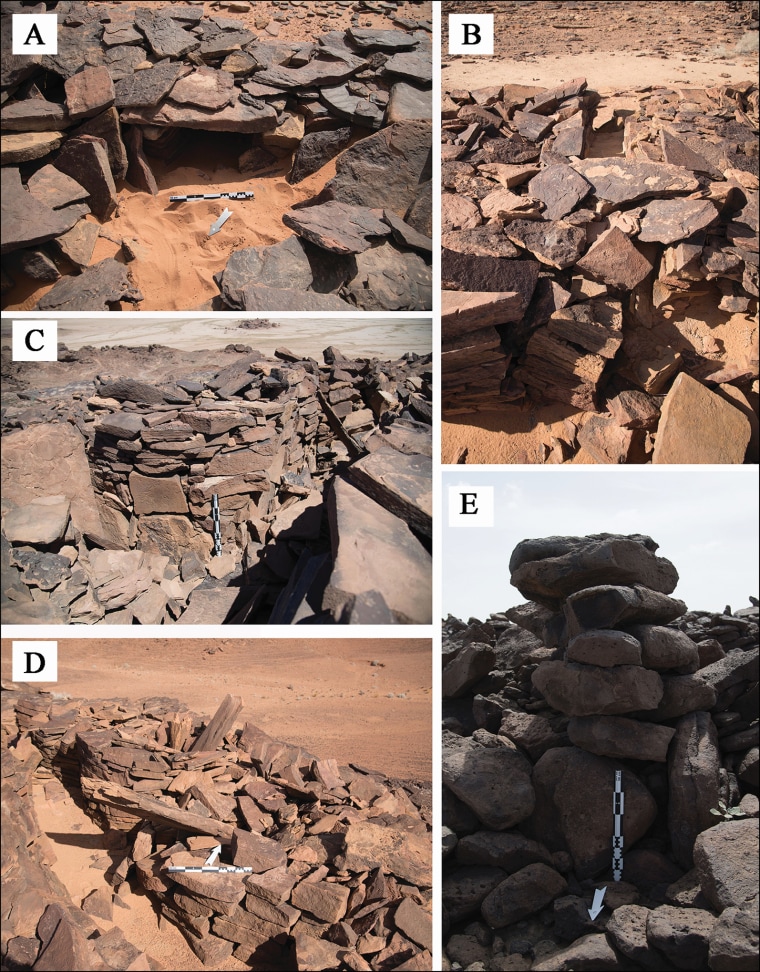 The "head" of a mustatil consists of a larger wall of stones and contains a small niche or chamber; researchers have found animal bones in at least one of the chambers, which suggests it was used to make sacrificial animal offerings.