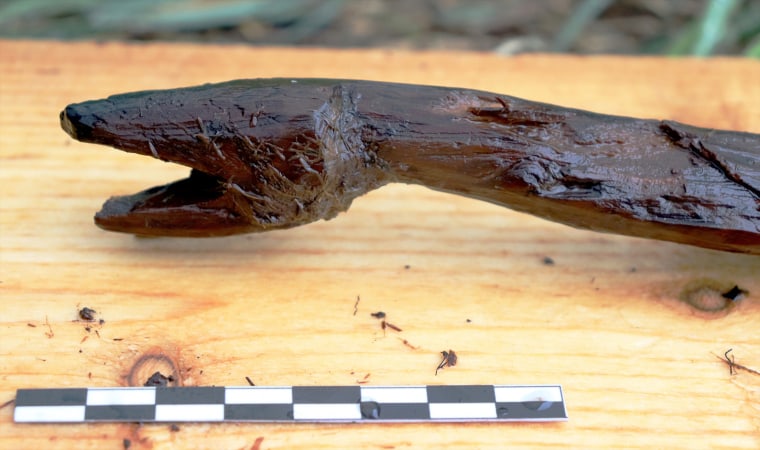 Archaeologists in Finland have unearthed a 4,000-year-old life-size wooden carving of a snake believed to be a ritual staff of a Neolithic shaman.