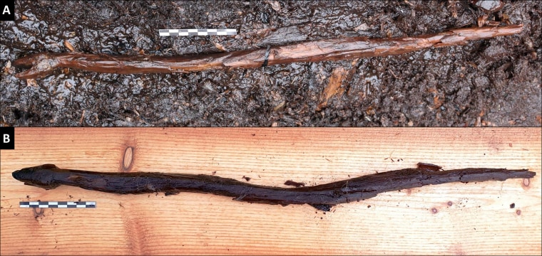 This 4000-year-old wooden carving of a snake was likely used as a staff by a Neolithic Shaman.