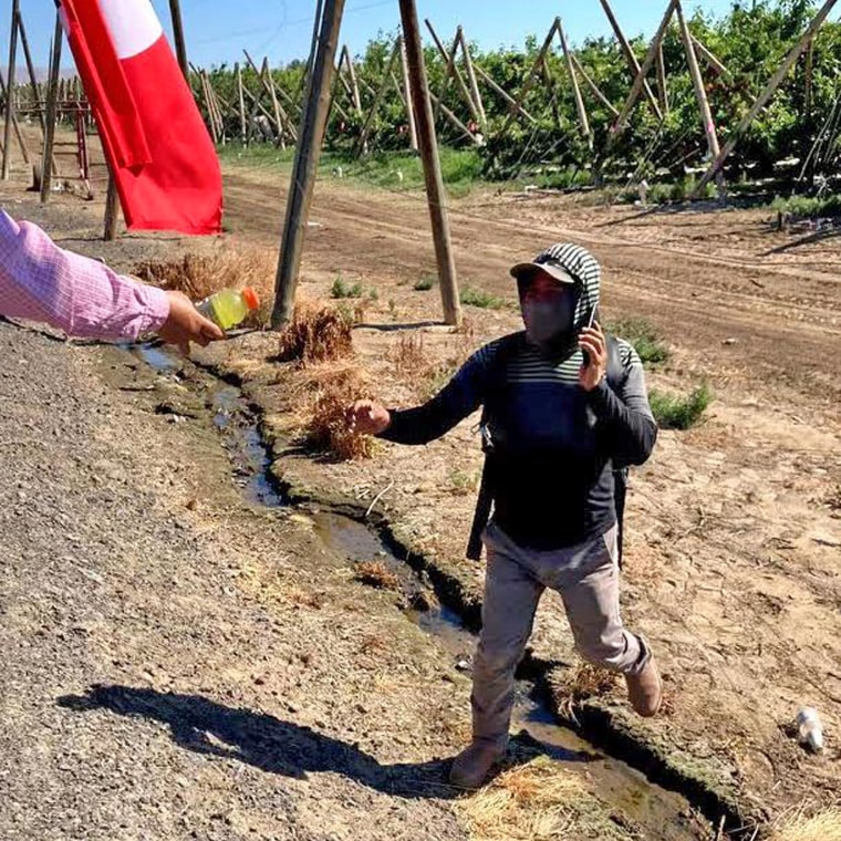 Volunteers hand out cold water and Gatorade to laborers working in Washington’s cherry fields.