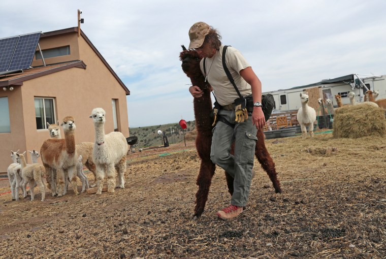 Image: Tenacious Unicorn Ranch