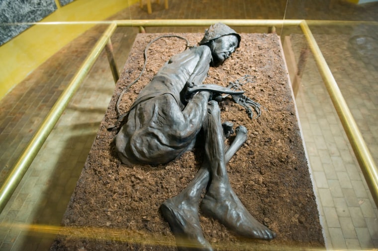 Image: Preserved body of the Tollund Man