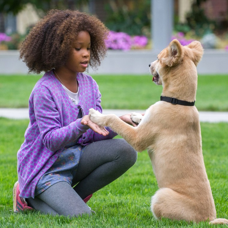 ANNIE, Quvenzhane Wallis in Annie