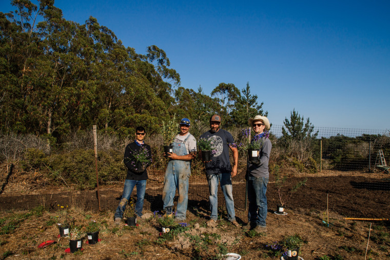 Sebastian Schell, Joe Sarapochillo, former Navy SEAL Mark Matzeldelaflor and Ole Schell on Ole's ranch in Bolinas, Calif., on Sept. 12. Part of the 206-acre ranch is dedicated to a butterfly preserve.