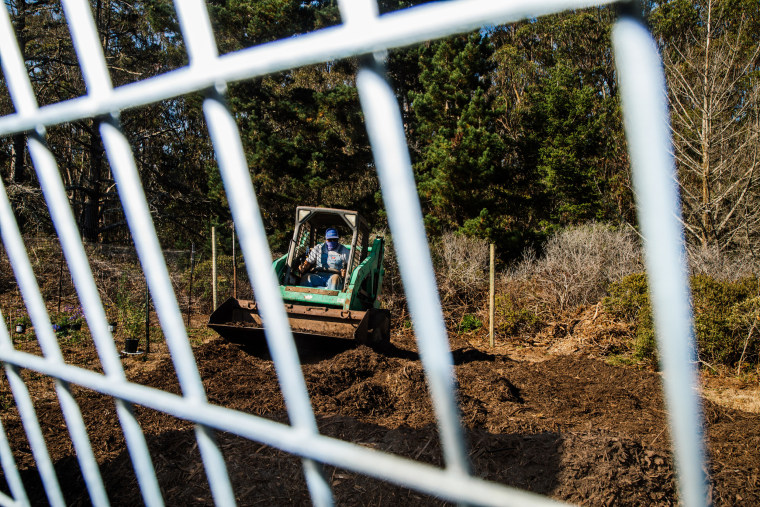 Joe Sarapochillo works the land.