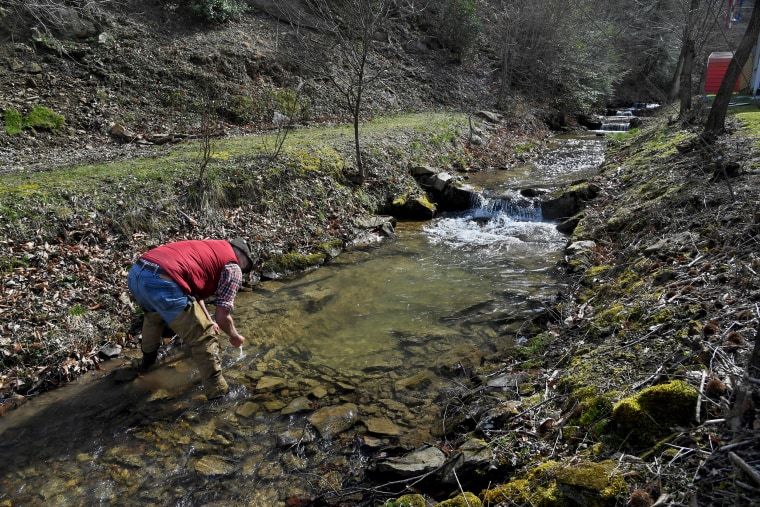 Crayfish expert Roger Thoma looks for crayfish in Ash Camp Branch near Laurel Creek, W.Va., on March 12, 2019. A coal company has a mountaintop removal operation at the head of this stream.