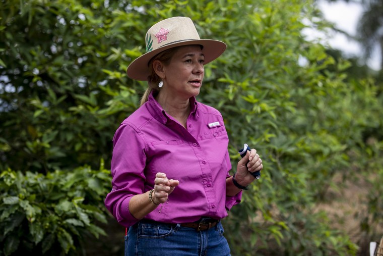 Iris Janette Rodríguez, a coffee grower in the town of Adjuntas