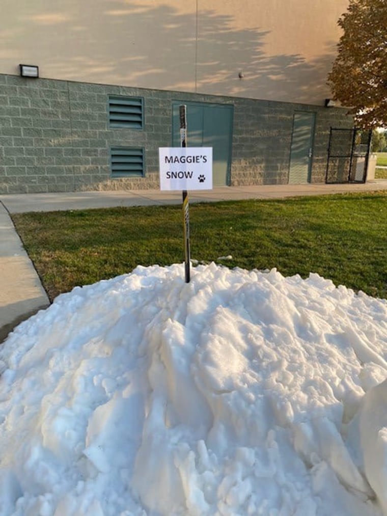 a pile of snow outside a cement brick building on green grass, labeled "MAGGIE'S SNOW"