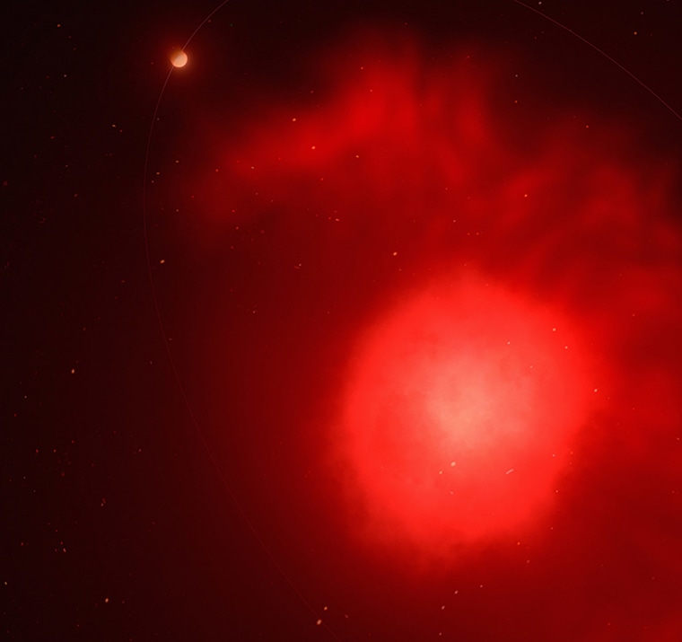 Stars like the sun grow tens of thousands of times in a red giant phase after burning all their nuclear fuel, before collapsing into feeble "white dwarf" remnants.