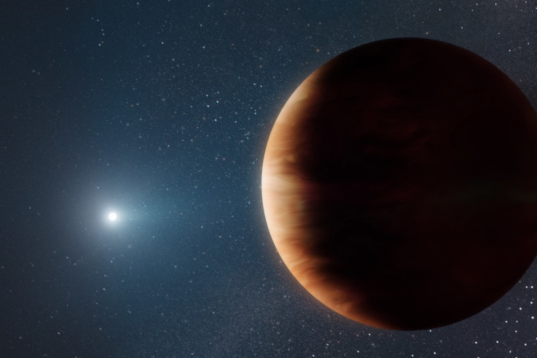 An artist’s rendition of the newly discovered Jupiter-like planet orbiting a white dwarf, or dead star.