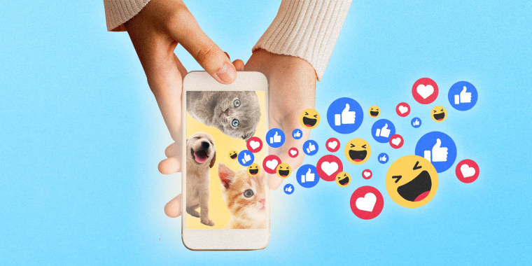 Illustration of hands holding a phone with photos of kittens and puppies as thumbs up, heart and laughing emojis float from the screen.