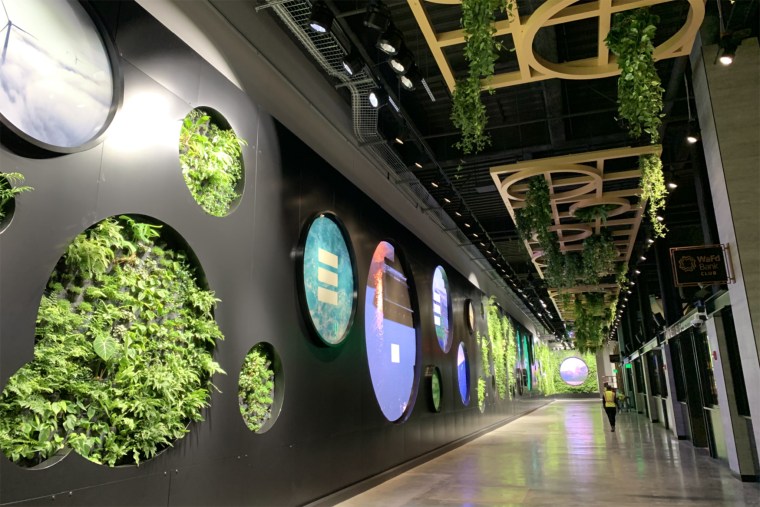 The living wall