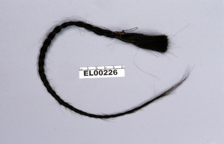 Image: Sitting Bull's scalp lock