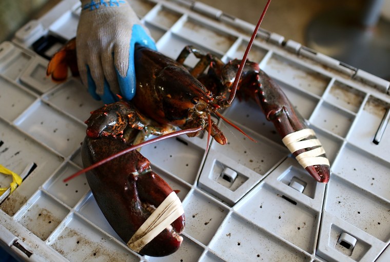 Una gran langosta en Three Sons Lobster and Fish de Portland, Maine, el 21 de julio de 2012.