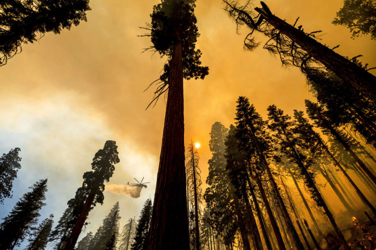 El incendio en el Parque Nacional Sequoya, el 19 de septiembre de 2021.